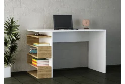 Asillane Skrivebord 120 cm med Sideoppbevaring