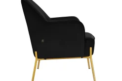 Attapulgus Loungelenestol