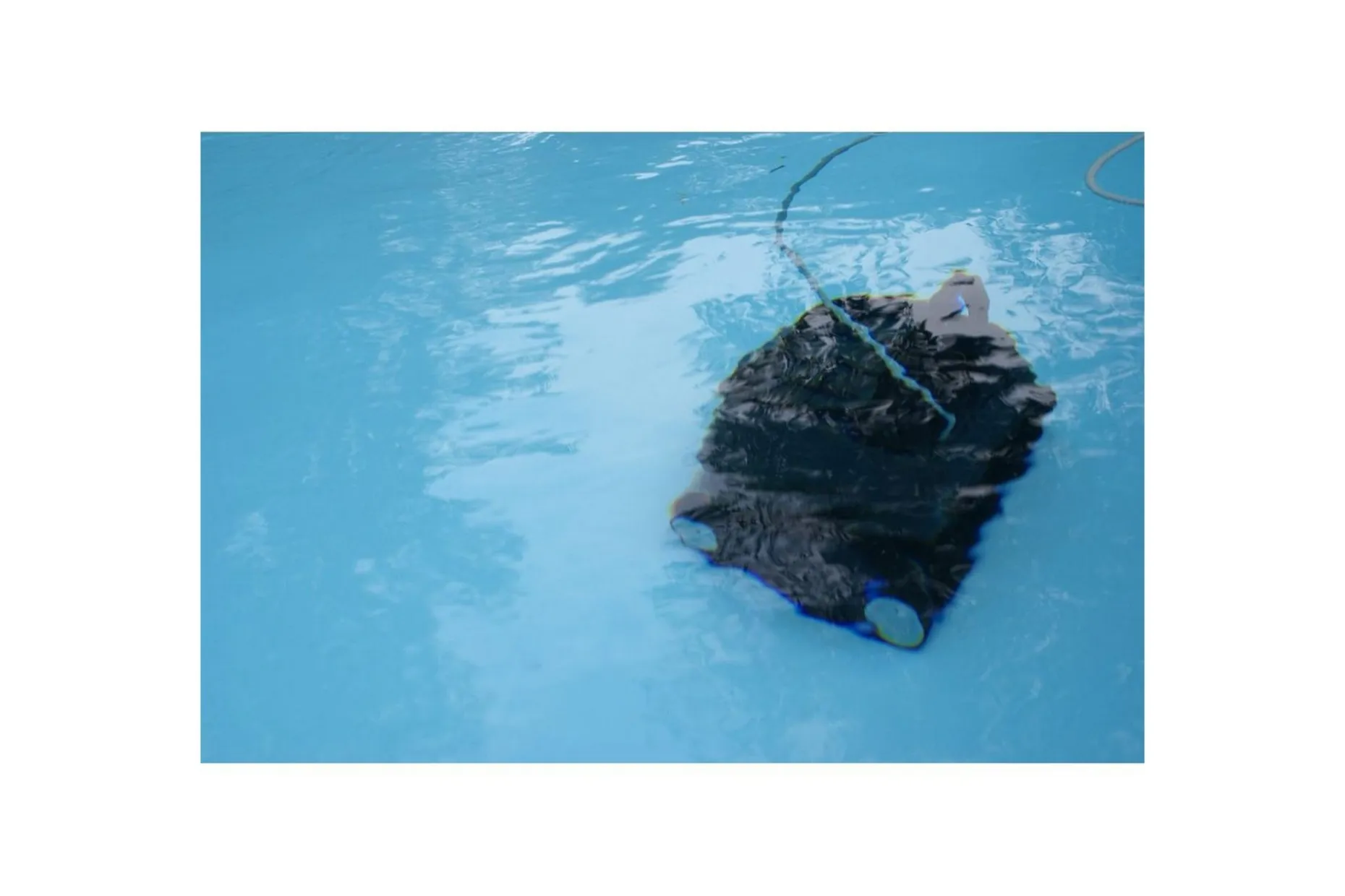 Basengrobot Swim & Fun Scooby