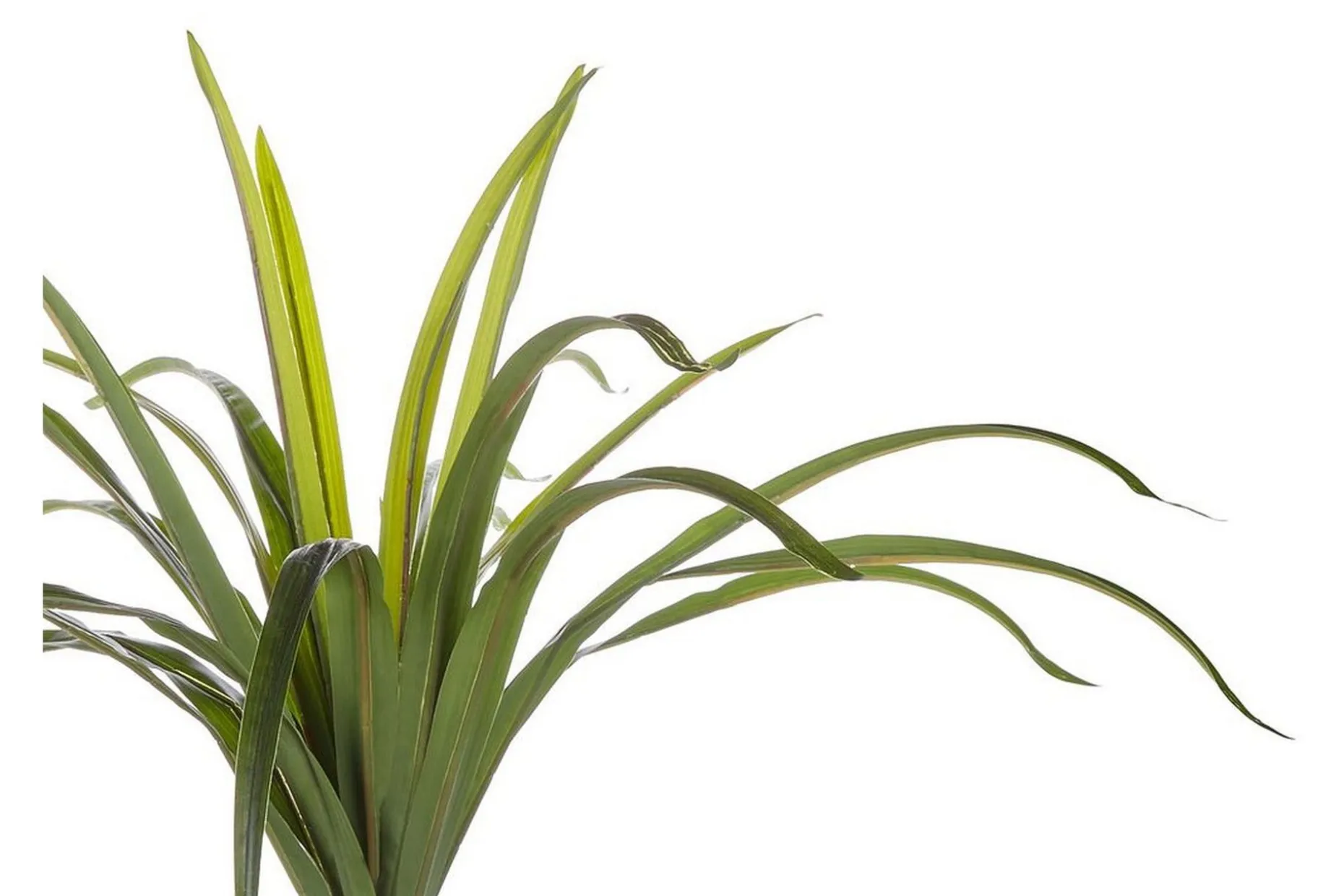 Berden Kunstig potteplante 147 cm Dracaena anita