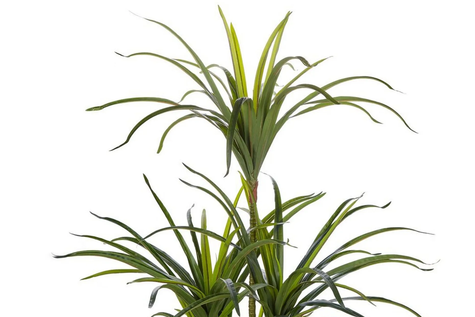 Berden Kunstig potteplante 147 cm Dracaena anita