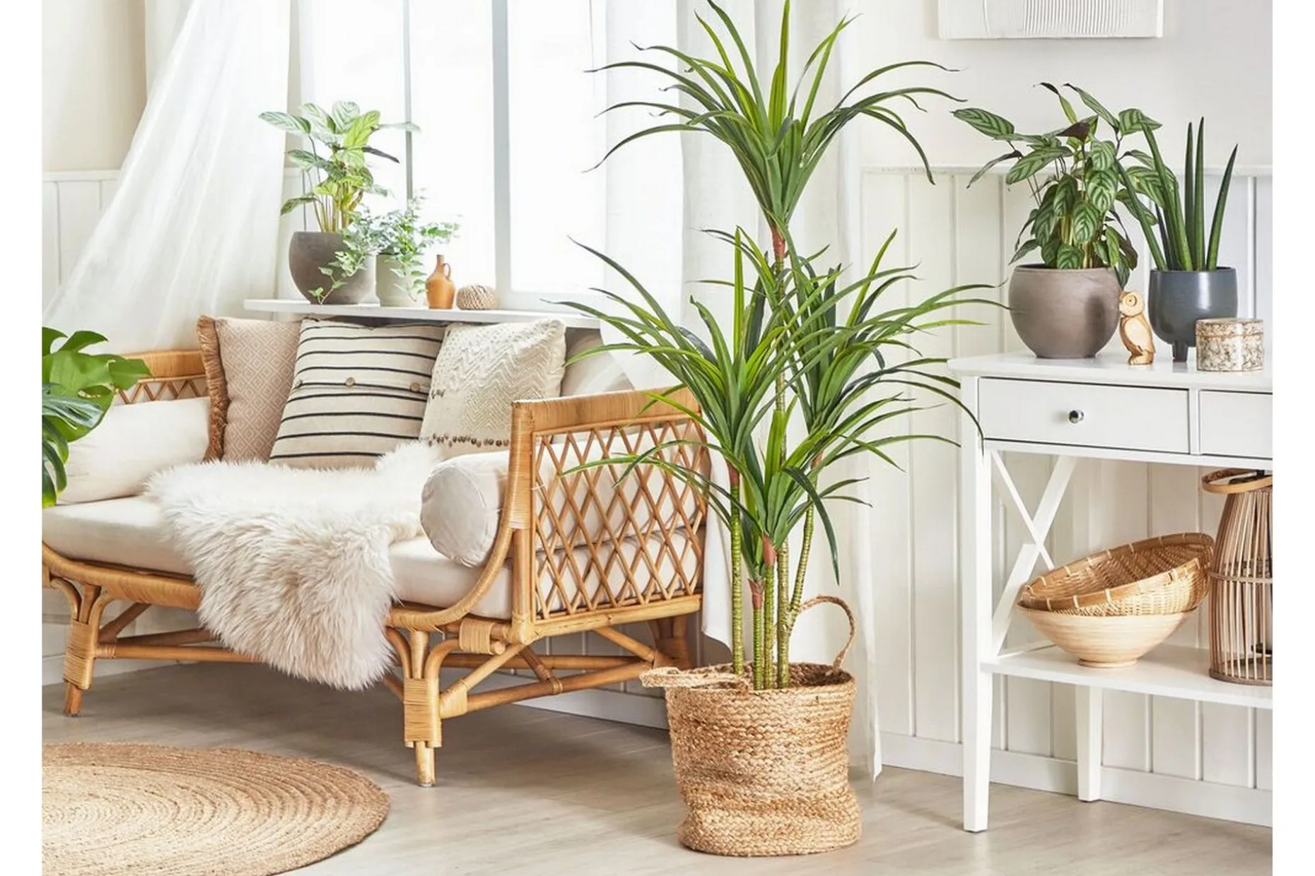 Berden Kunstig potteplante 147 cm Dracaena anita