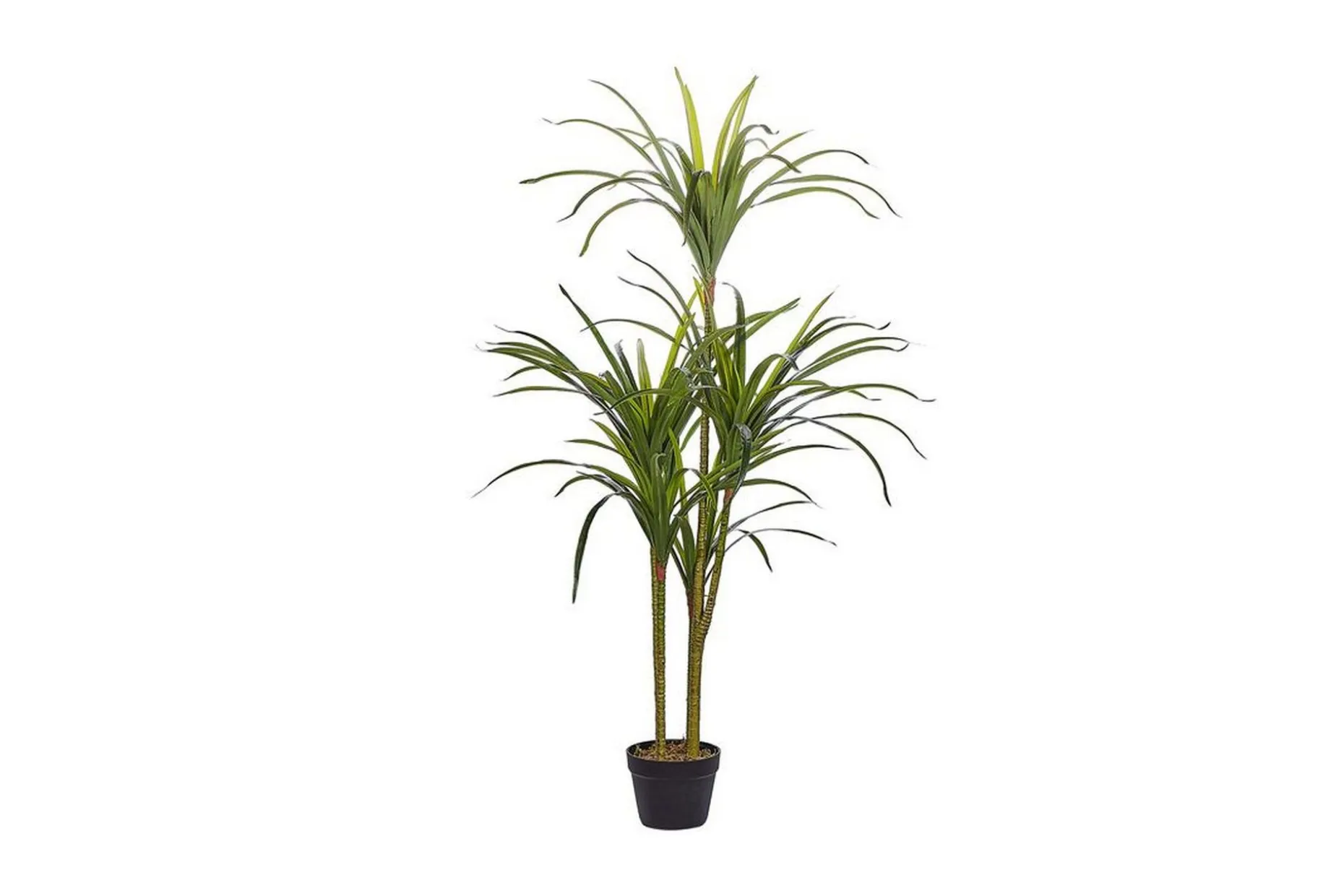 Berden Kunstig potteplante 147 cm Dracaena anita