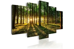 Bilde Adventure In The Woods 200x100