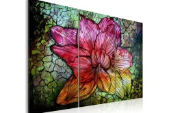 Bilde A Rainbow-Hued Abstract Flower 120x80