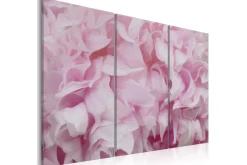 Bilde Azalea Rosa 120x80