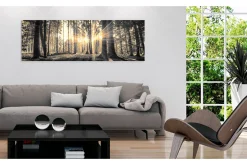 Bilde Forest Sun 150x50
