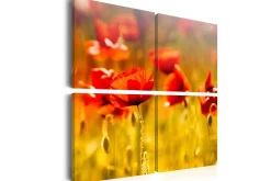 Bilde Sommertid 80x80