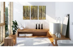 Bilde The mystery of Sherwood Fores90x60