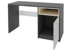 Bioley Skrivebord 120 cm med Oppbevaring Skap + Hylle