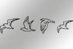 Birds Veggdekor