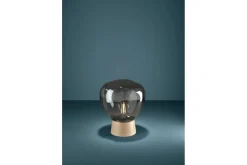 Bordlampe Eglo Magacela Grå/Transparent