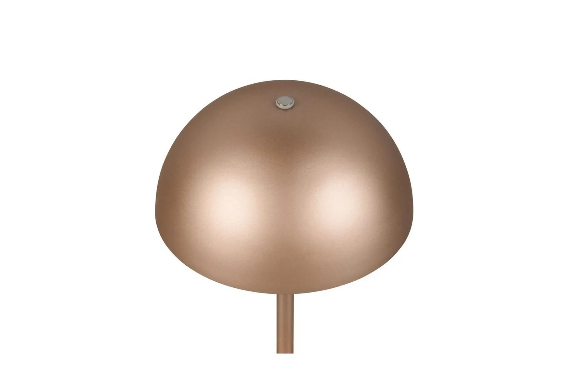 Bordlampe TRIO Munoz Kaffebrun