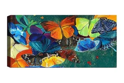 Canvasbilde YTY Animals Flerfarget