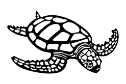 Caretta Caretta Veggdekor