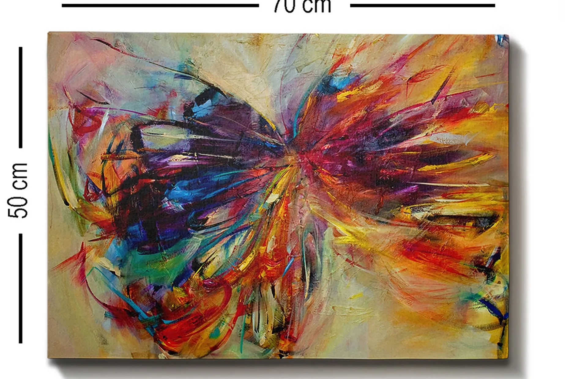 Decorative Canvas Painting 50x70
