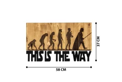Evolution Veggdekor
