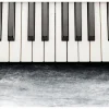 Fototapet By Chopin Gray Stone 250x175