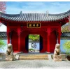 Fototapet Chinese Botanical Garden 250x193