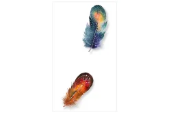 Fototapet Colorful Feathers 50x1000