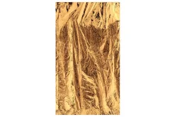 Fototapet Golden Clouds 50x1000