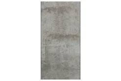 Fototapet Gray Pigeon 50x1000