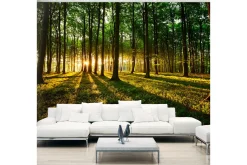 Fototapet Mystical Morning 350x245