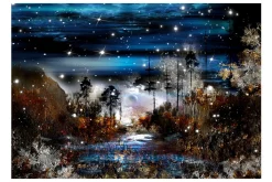 Fototapet Night In The Forest 400x280