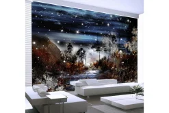 Fototapet Night In The Forest 400x280