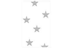 Fototapet Stellar Trail 50x1000