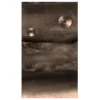 Fototapet The Sense Of Coherence 50x1000