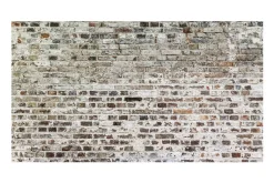 Fototapet XXL Walls Of Time 500x280