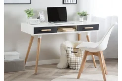 Frisange Skrivebord 120 cm med Oppbevaring 2 Skuffer + Hylle