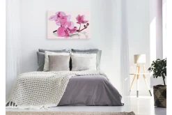 Gjør-det-selv-maleri Orkidéblomster 60x40 cm