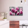 Gjør-det-selv Maleri Tulip Field 60x40 cm