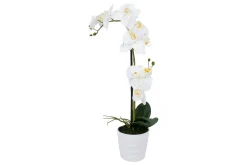 Hvit Orkidea 51 cm på Hvit Krukke