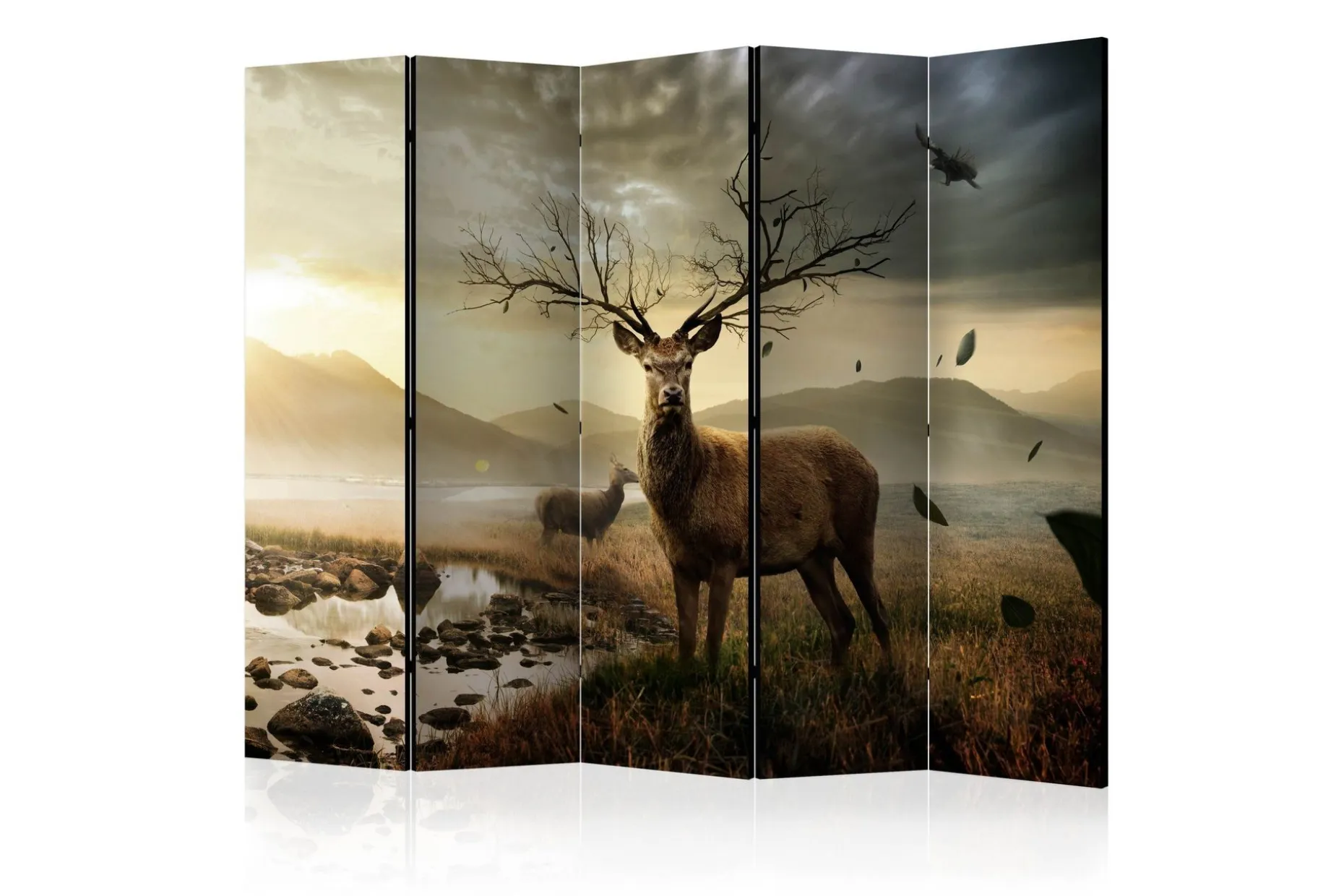 Kadira Romdeler 225x172