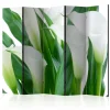 Kadira Romdeler 225x172