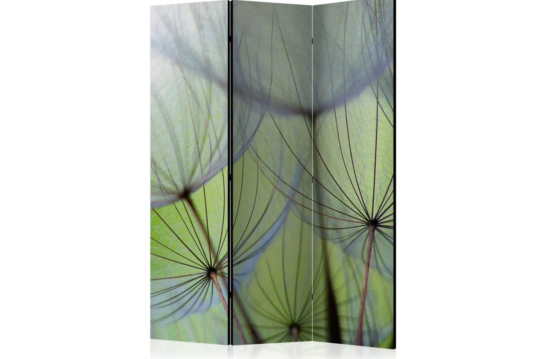 Kadira Romdeler 135x172