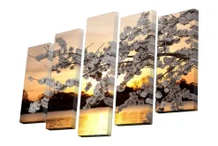 Lerretsbilde i 5 deler 82x50 cm - Vakker kirsebærblomst ved solnedgang