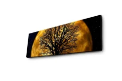 Lerretsbilde med LED-belysning 30x90 cm - Atmosfærisk motiv av en måne bak en silhuett av et tre