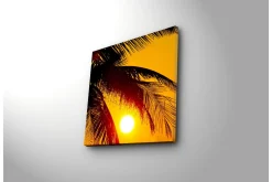 Lerretsbilde 45x45 cm - Solnedgang bak palmer