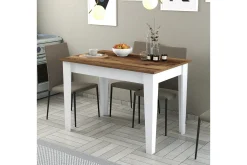 Levents Spisebord 110x72 cm Brun/Hvit