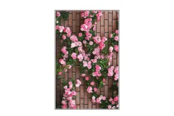 Matte (100x150) Homefesto 5