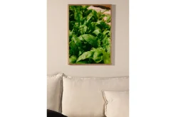 Plakat Green Leaf 70x100 cm