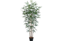 Plante BAMBOO H150cm med Potte