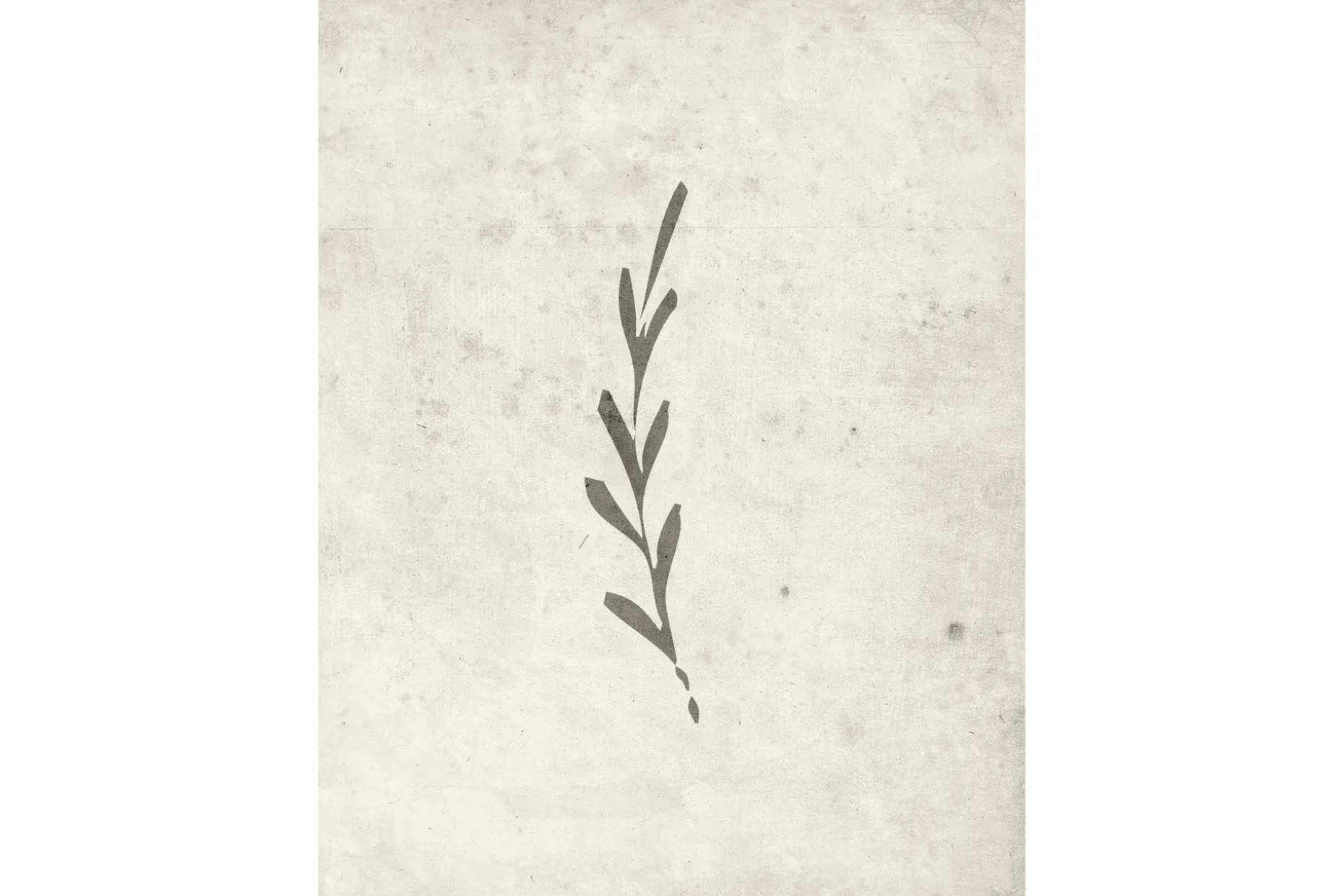Poster Autumn leaf 30x40 cm