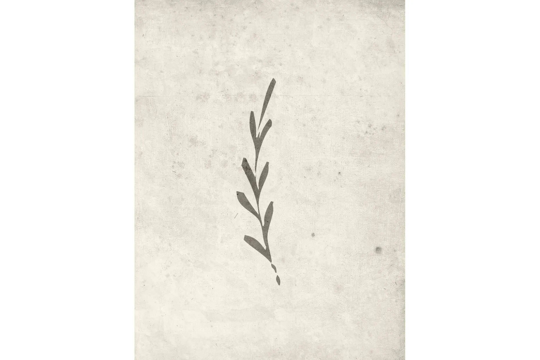 Poster Autumn leaf 50x70 cm