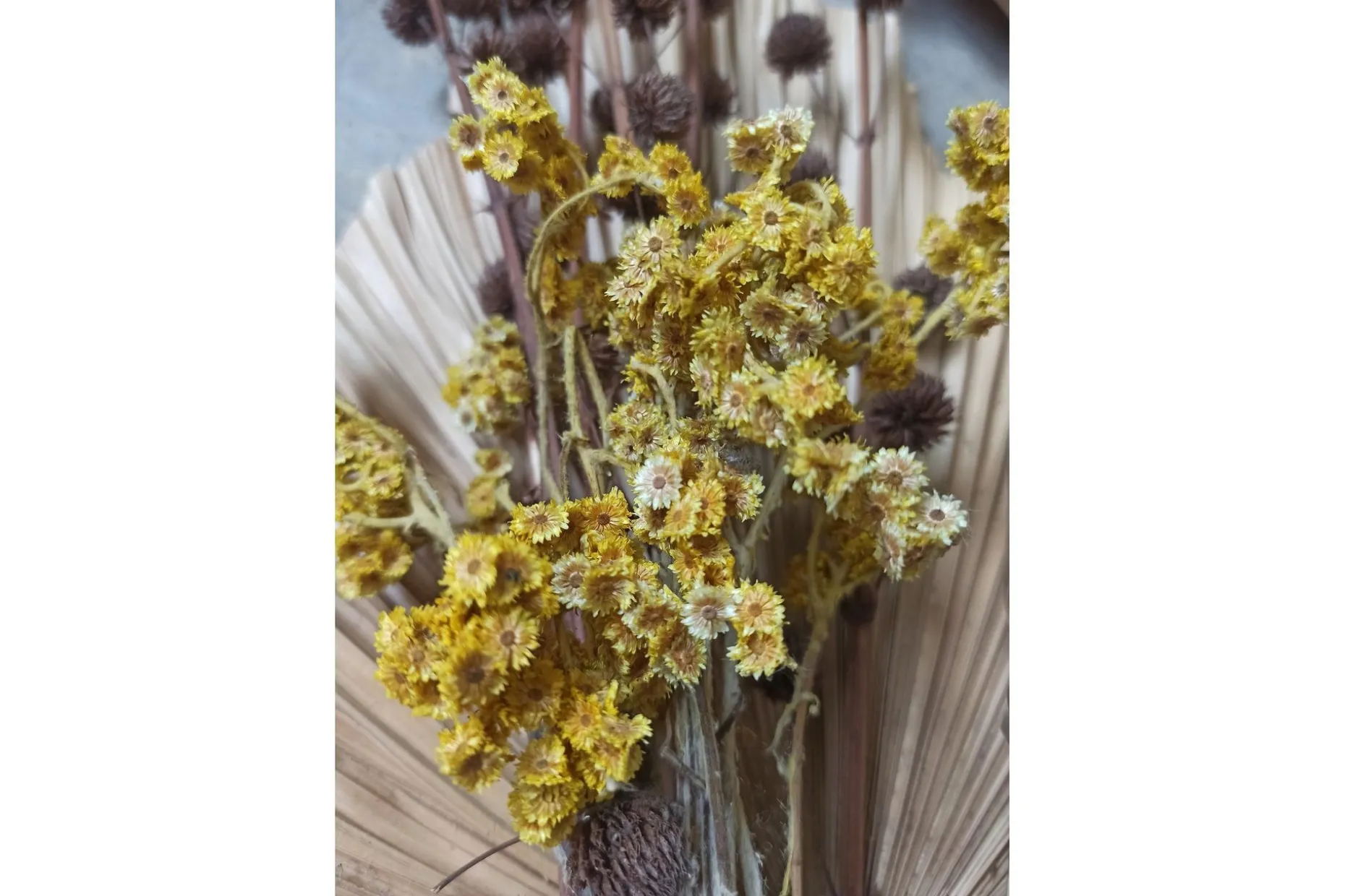 Poster Bouquet 50x70 cm