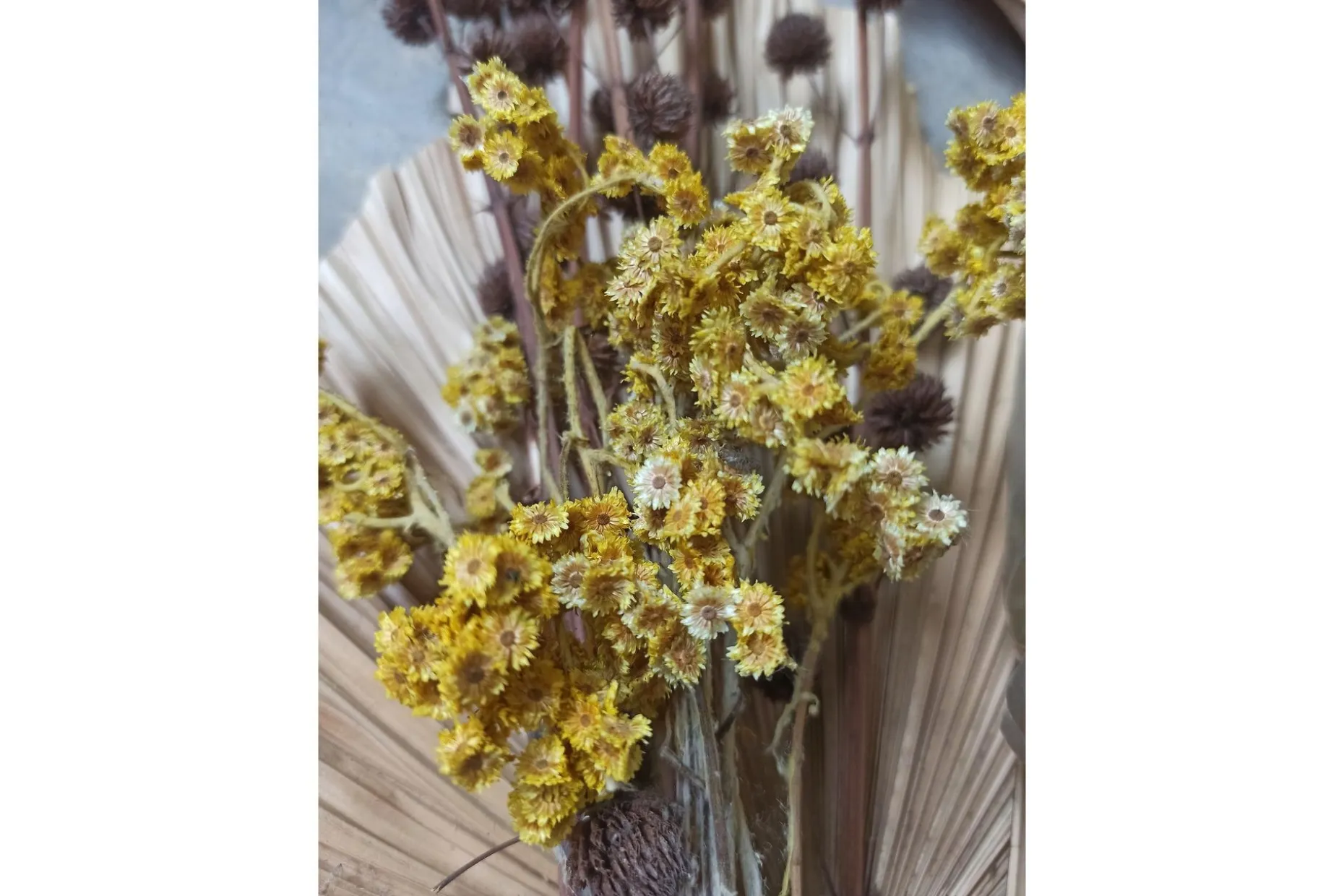 Poster Bouquet 30x40 cm